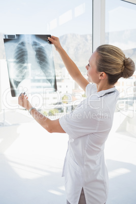 Doctor looking at Xray beside windows