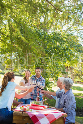 Happy couple toasting with their family