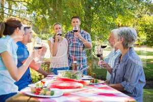 Happy couple toasting with their family