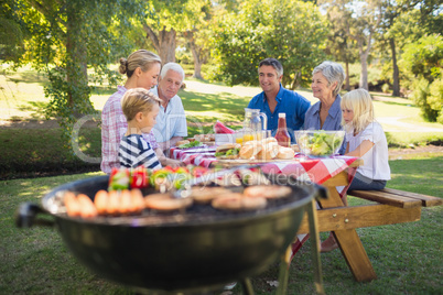 Happy family having picnic in the park