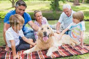 Happy family in the park with their dog