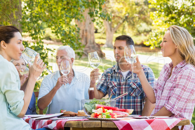 Happy family having picnic in the park