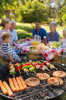 Family doing barbecue in the park
