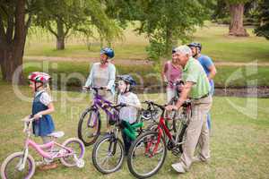 Happy family on their bike at the park