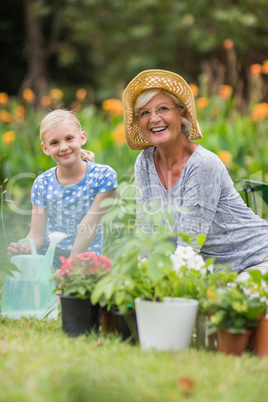 Happy grandmother and grandfather gardening