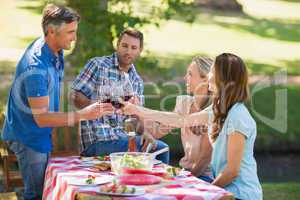 Happy friends toasting at the park