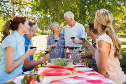 Happy seniors toasting with their family