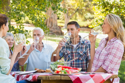 Happy family having picnic in the park