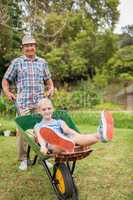 Happy grandfather and his granddaughter with a wheelbarrow