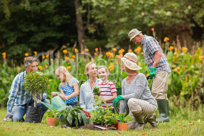 Happy family gardening