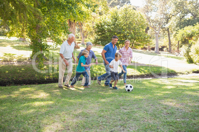 Happy family playing at the ball