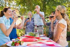 Happy seniors toasting with their family