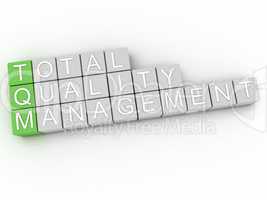 3d image TQM Total Quality Management  issues concept word cloud