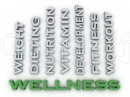 3d image Wellness  issues concept word cloud background