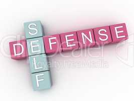 3d image Self Defense  issues concept word cloud background
