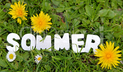 Sommer Buchstaben auf Wiese