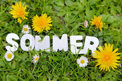 Sommer Buchstaben auf Wiese