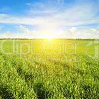 field, sunrise and blue sky