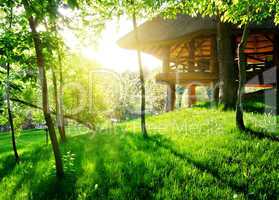 Gazebo among the trees