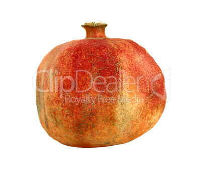 pomegranate