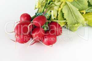 Salmon Radishes