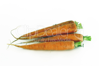 Carrots