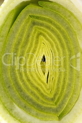 Macro Of The Leek