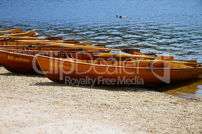 Rowboats on the shore of a lake