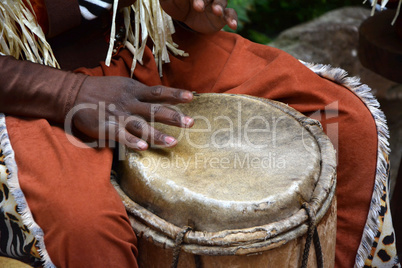 African djembe drummer in action