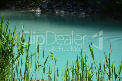 abstract green water background