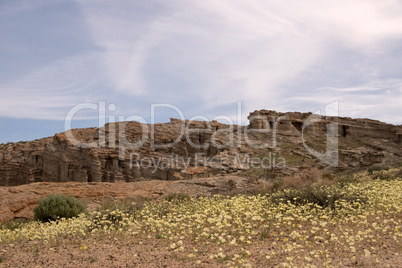 Antelope Valley Poppy Reserve, Kalifornien, USA