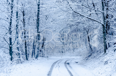 Straße im Winter