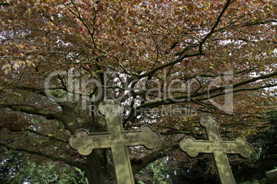 Alter Friedhof in Hessisch Oldendorf