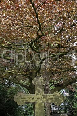 Alter Friedhof in Hessisch Oldendorf