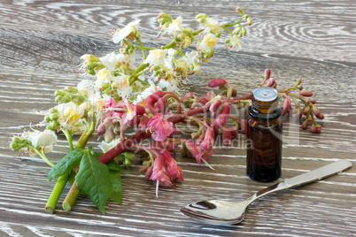 Bachblütentropfen aus roter und weißer Kastanie