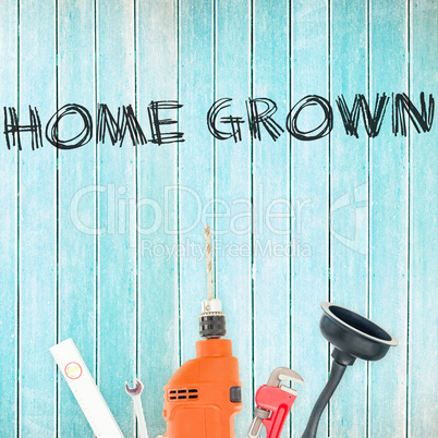 Home grown against tools on wooden background