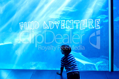 Composite image of find adventure