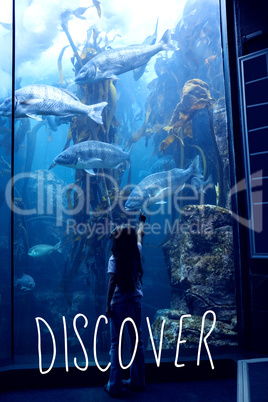 Composite image of discover