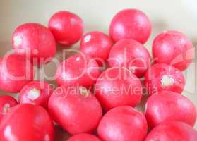 Radish vegetable