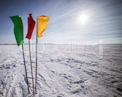 Flags on the background of winter sky