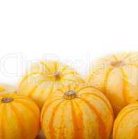 fresh yellow pumpkin