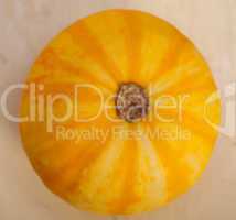 fresh yellow pumpkin