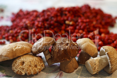 mushrooms and strawberries