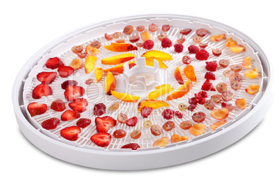 Slices of fruits and berries on dehydrator tray