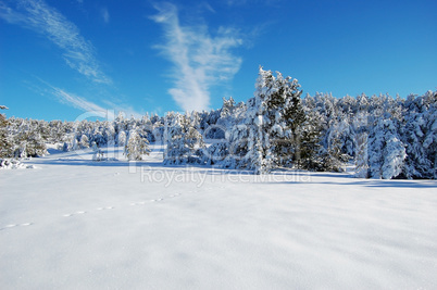 landscape in the mountains