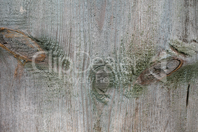 Beautiful wood texture