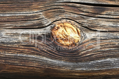 Beautiful wood texture