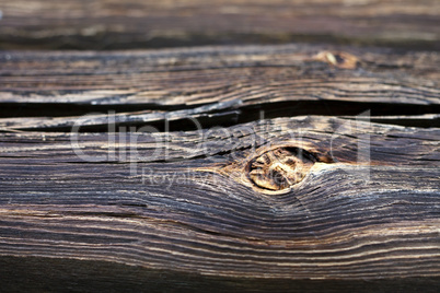 Beautiful wood texture