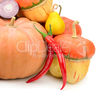 collection pumpkin