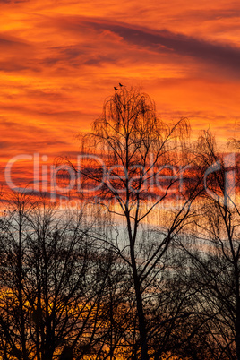 Abenddämmerung